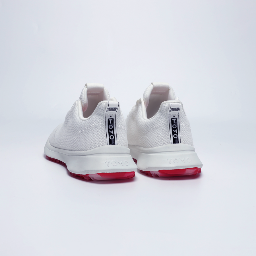 [Arctic White]