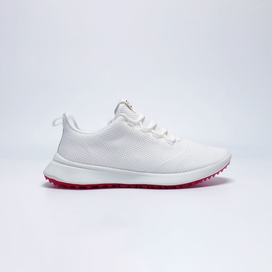 [Arctic White]